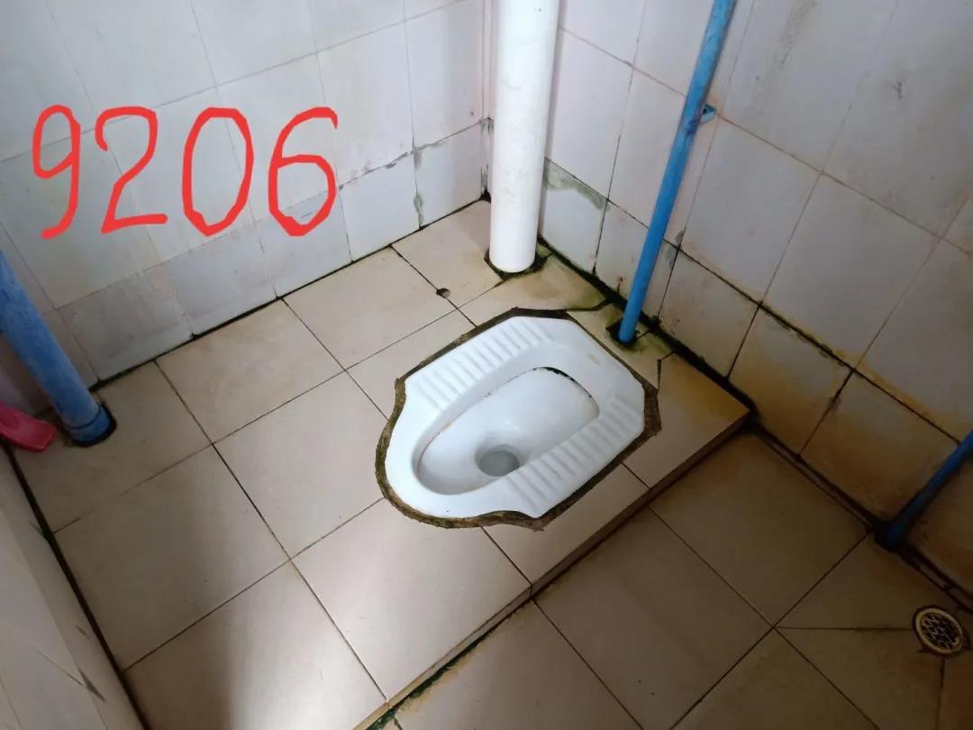 1618301970791820.jpg 1618301970791820.jpg